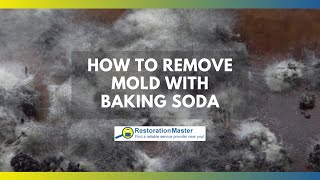 How to Remove Mold with Baking Soda