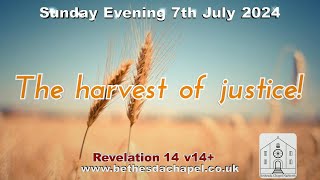 Sunday Evening 7th July 2024