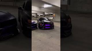 INSANE FORD MUSTANG - Rides Like a Dream!😈