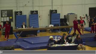 Ithaca Gymnastics vs. Ursinus | Vault & Beam