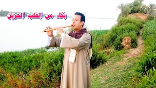 بكاء من القلب الحزين / عزف صابر كولة /  youtube#  / #explore #يوتيوب/  #shortsfeed  / #saber_kawla