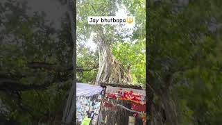 #satadhardham #viralvideo #sorts  JAY BHUTBAPA 🔱