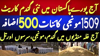 Today Wheat price in punjab//گندم کا ریٹ 2024/munji makki till sarso | rice rate in galamandi