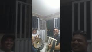 o sucesso da zefinha e um instrumental de mimi do acordeon