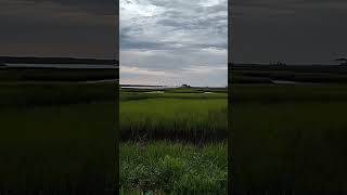 intracoastal salt marsh at dusk, Jacksonville Florida