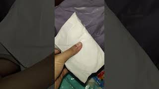 Breast pad isi 100