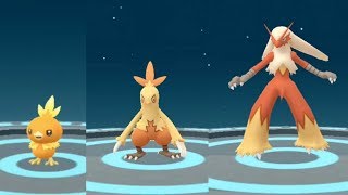 Pokemon Go Torchic to Combusken to Blaziken Evolution Showcase Pokédex 255, 256, and 257