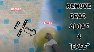 Pool Hack:  How to Remove Dust And Algae In Your Above Ground Pool using Garden Hose.  Best Method!