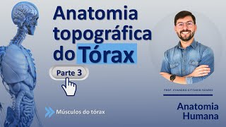 ANATOMIA TOPOGRÁFICA DO TÓRAX - PARTE 03 - Músculos do Tórax