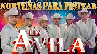 Los Avila Exitos Sus Mejores Canciones ❤️ Puras Norteñas Viejitas Para Pistear