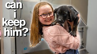 10-Year-Old Has Only 10 Minutes to ADOPT A PUPPY *Emotional*