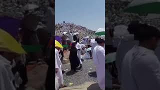 Hajj 2024/1445 labbaik allahumma labbaik #hajj #makkah #arafat