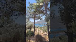 Mordoğan