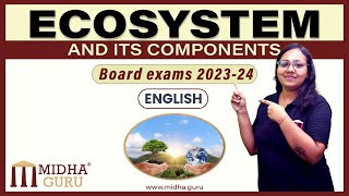 Ecosystem and its components(Revision class)