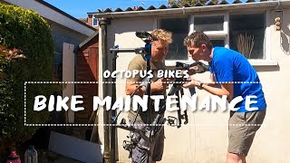 Maintenance Day with Octopus Bikes