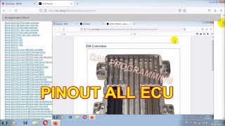 PINOUT ALL ECU BOSCH  Continental Delphi Denso FoMoCo Marelli Motorola Sagem Siemens Valeo Visteon