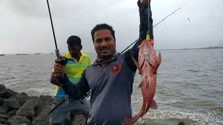 Mangrove Jack#Tamboshi# Red snapper fishing | ANGLER BROTHER'S