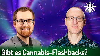 Gibt es Cannabis-Flashbacks? | Interview mit Toxikologe Dr. Steinmetz