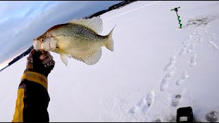 Wabigoon Crappie Fun