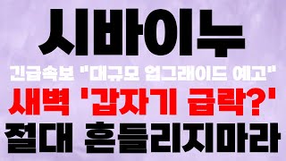 [시바이누 SHIB] 새벽속보 "갑자기 급락?" 절대 흔들리지마라 여기까지 올라간다