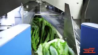 HV600 High Speed vegetable packing machine. #vegetablepackingmachine