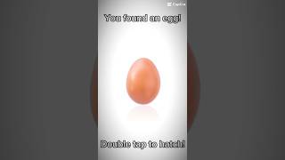 Mystery egg #egg #mystery #foryou #mysteryegg #comedy