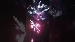 The most beautiful fireworks display in 2025 #christmas #happynewyear #newyear #happy #snow