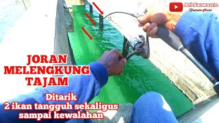 Mancing tepat di sarang ikan Trakulu/baby gt di ambalat balikpapan