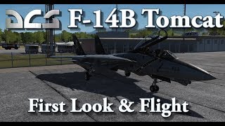 DCS - F-14B Tomcat - First Look & Flight