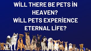 Will there be pets in heaven? Will pets experience eternal life?