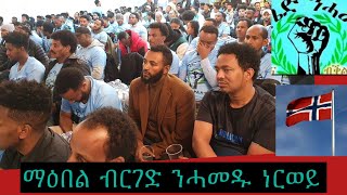 ብርገድ  ንሓመዱ  ነርወይ  ምስ  ዛኪ  ብርሃነ  21/10/2023