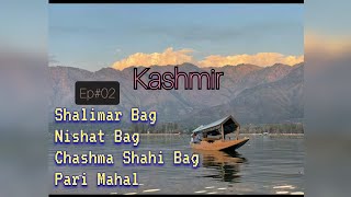 Srinagar | Kashmir | Ep-02 | Shalimar Garden | Nishat Garden | Chashma Shahi Garden | Pari Mahal