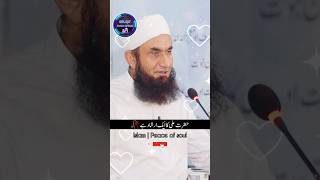 اگر عزت چاہتے ہو تو یہ کام کرو |Hazrat Ali quote | Molana Tariq Jameel | Islamic Status #tariqjameel