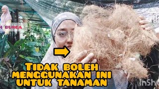 tanaman tidak boleh ditutup dengan sebut kenapa