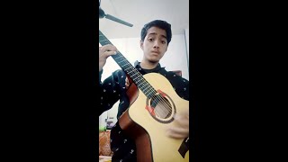 Srivalli (Pushpa) - Harsh Stark (fingerstyle)