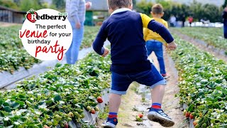 Kids Parties at Redberry Farm