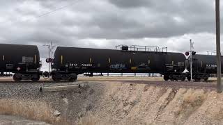 Union Pacific South bound mixed freight