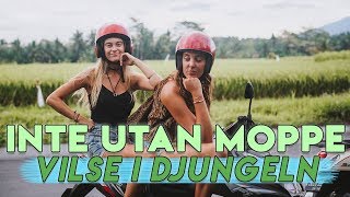 RESVLOGG BALI #6: Blir masserade utan kläder & kör vilse