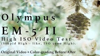 Olympus EM-5 Mark II - Video Test: Low light & High ISO w/ Color Grading (v 2.0 firmware)