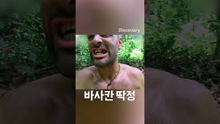 눈 감고 먹으면 감자칩인 음식은? #생존 #에드스태포드 #에드