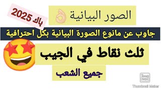 لن تخطئ بعد الآن👌🏻في التفريق بين الصور البيانية وانواعها 💫في خمس دقائق فقط🤯💯