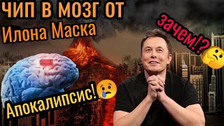 Зачем Илон Маск вставит чип в мозг человека?🤷