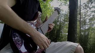 Flourish by The Contortionist (Guitar Solo Cover)