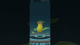 weepinbell evolve in Pokemon go