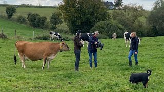 Pfannkuchenzeit mit Milch von Leas Kühen - #AusGutemGrundAusNRW