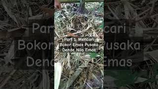 Part 1.Mencari Bokor Emas Pusaka Dende Nila Emas