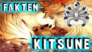 14 FAKTEN über KITSUNE | Akeban