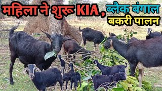 BLACK BENGAL GOAT'S:- महिला ने शुरू KIA, ब्लैक बंगाल बकरी पालन , बाज़ार से सस्ता ब्लैक बंगाल बकरी