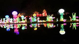 Sea Life Light Illuminations Magical Lantern Festival Chiswick London #magicallantern #london