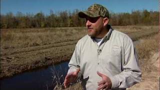 TN Wild Side-Hatchie Wetland Restoration.mpg